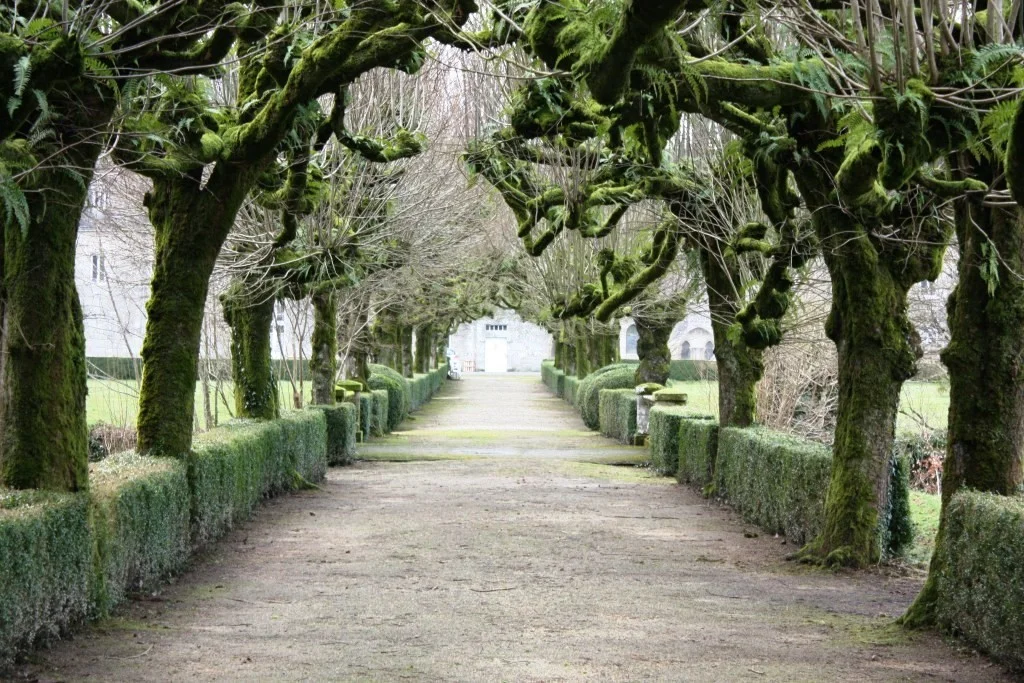 Langonnet L'Entrée de L'Abbaye.