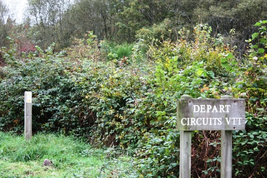 Scaër la Forêt de Coat Loc'h.